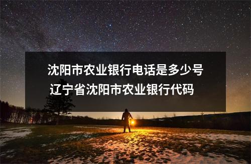 沈阳市农业银行电话是多少号 辽宁省沈阳市农业银行代码