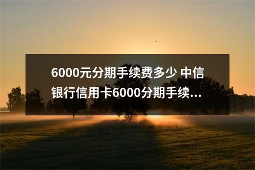 6000元分期手续费多少 中信银行信用卡6000分期手续费