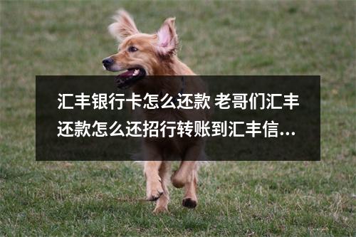 汇丰银行卡怎么还款 老哥们汇丰还款怎么还招行转账到汇丰信用卡可以吗