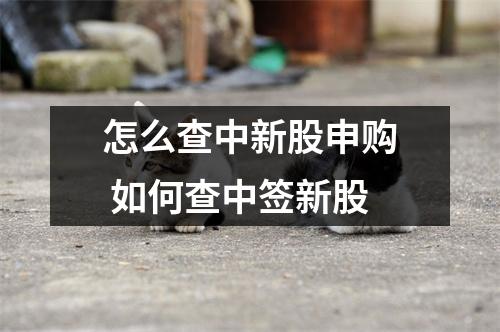 怎么查中新股申购 如何查中签新股