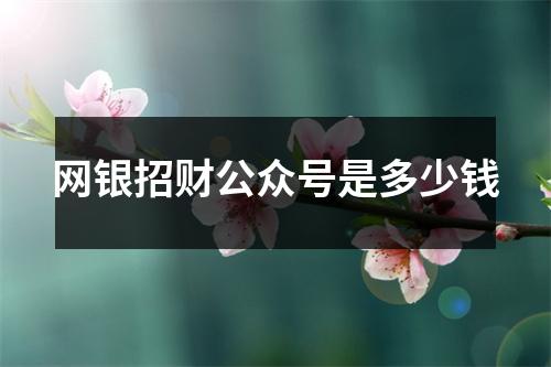 网银招财公众号是多少钱
