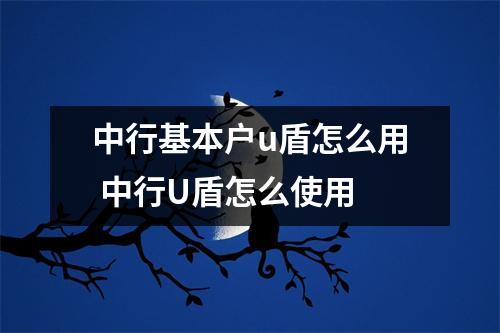 中行基本户u盾怎么用 中行U盾怎么使用