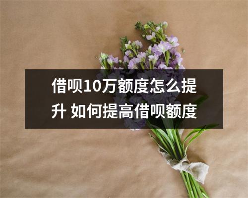 借呗10万额度怎么提升 如何提高借呗额度