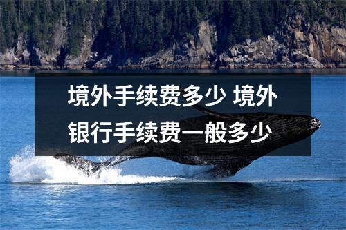 境外手续费多少 境外银行手续费一般多少