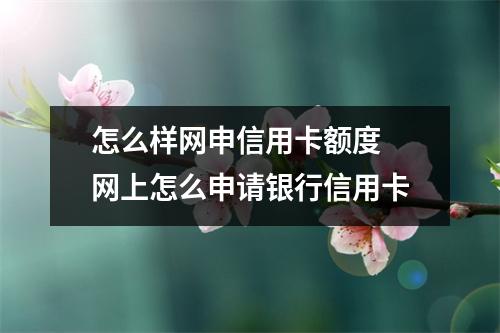 怎么样网申信用卡额度 网上怎么申请银行信用卡