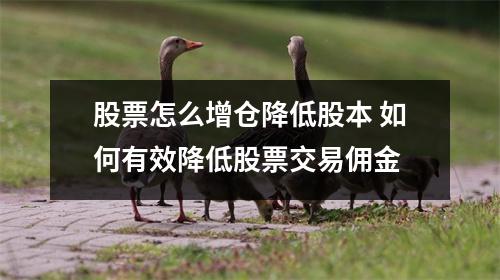 股票怎么增仓降低股本 如何有效降低股票交易佣金