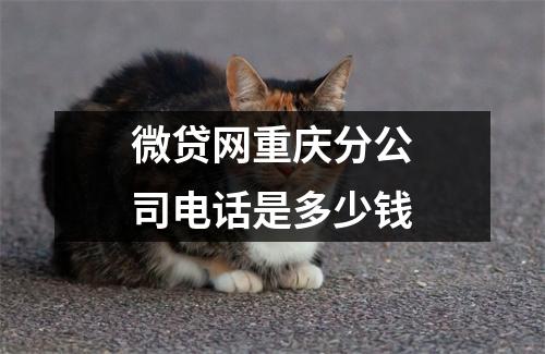 微贷网重庆分公司电话是多少钱