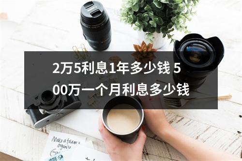 2万5利息1年多少钱 500万一个月利息多少钱