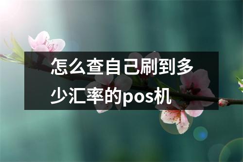 怎么查自己刷到多少汇率的pos机