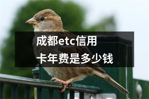 成都etc信用卡年费是多少钱