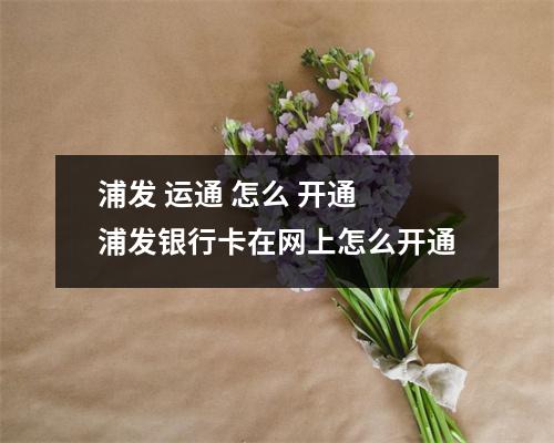 浦发 运通 怎么 开通 浦发银行卡在网上怎么开通