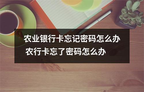 农业银行卡忘记密码怎么办 农行卡忘了密码怎么办