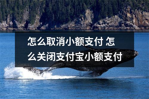 怎么取消小额支付 怎么关闭支付宝小额支付