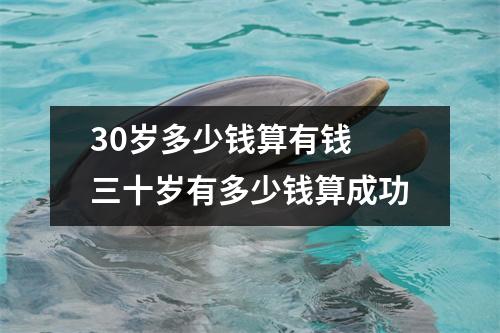 30岁多少钱算有钱 三十岁有多少钱算成功