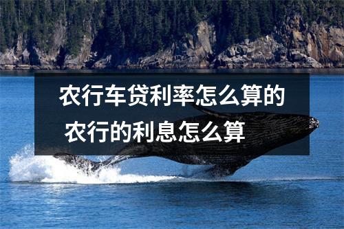 农行车贷利率怎么算的 农行的利息怎么算