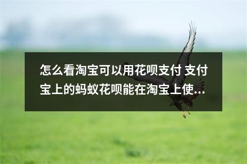 怎么看淘宝可以用花呗支付 支付宝上的蚂蚁花呗能在淘宝上使用么