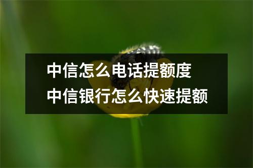 中信怎么电话提额度 中信银行怎么快速提额