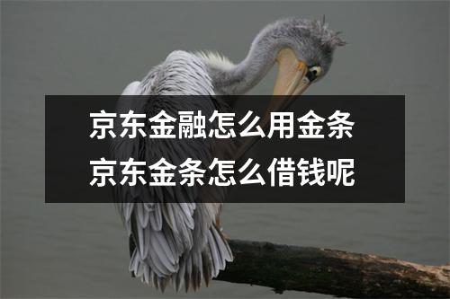 京东金融怎么用金条 京东金条怎么借钱呢