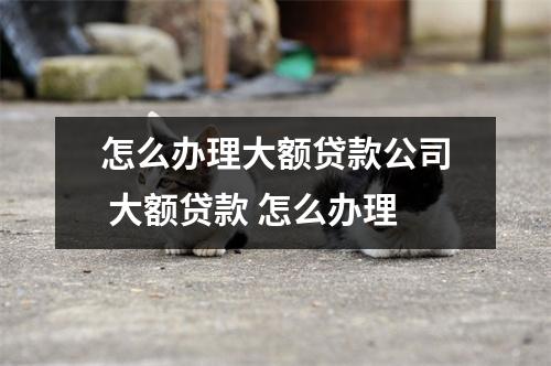 怎么办理大额贷款公司 大额贷款 怎么办理