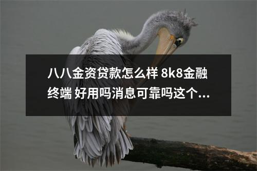 八八金资贷款怎么样 8k8金融终端 好用吗消息可靠吗这个软件如何