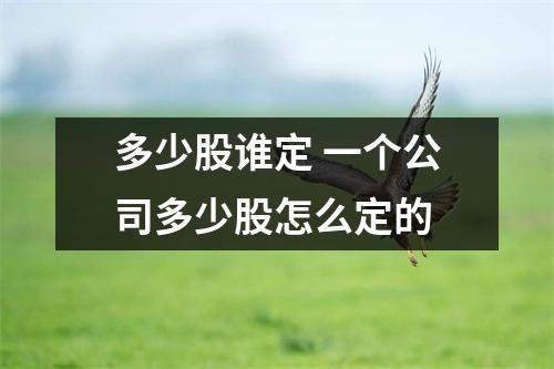 多少股谁定 一个公司多少股怎么定的