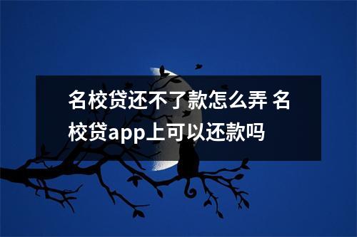 名校贷还不了款怎么弄 名校贷app上可以还款吗