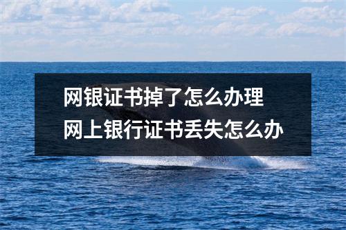 网银证书掉了怎么办理 网上银行证书丢失怎么办