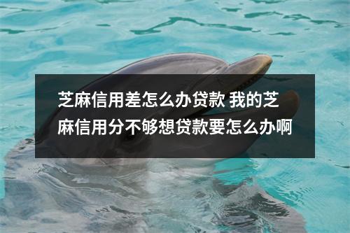 芝麻信用差怎么办贷款 我的芝麻信用分不够想贷款要怎么办啊
