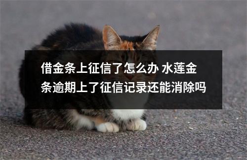 借金条上征信了怎么办 水莲金条逾期上了征信记录还能消除吗