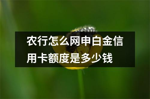 农行怎么网申白金信用卡额度是多少钱
