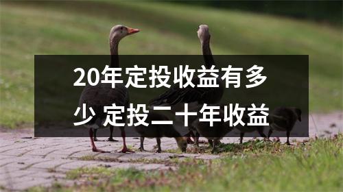 20年定投收益有多少 定投二十年收益