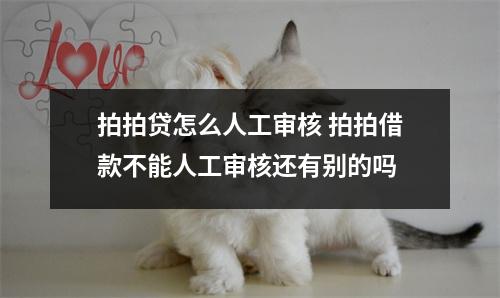拍拍贷怎么人工审核 拍拍借款不能人工审核还有别的吗