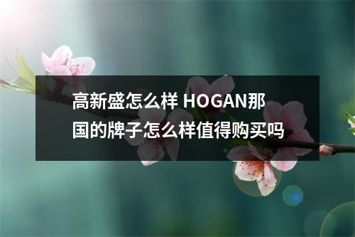 高新盛怎么样 HOGAN那国的牌子怎么样值得购买吗
