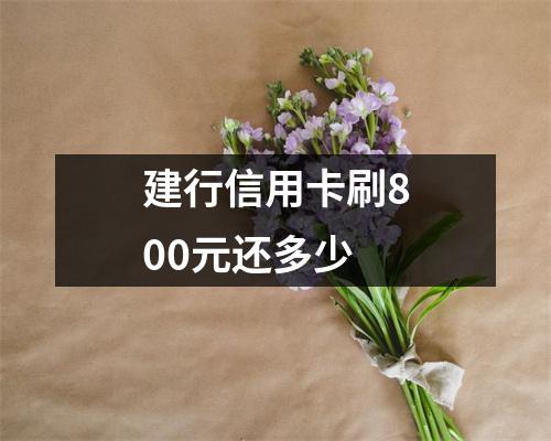 建行信用卡刷800元还多少