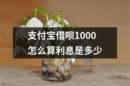 支付宝借呗1000怎么算利息是多少