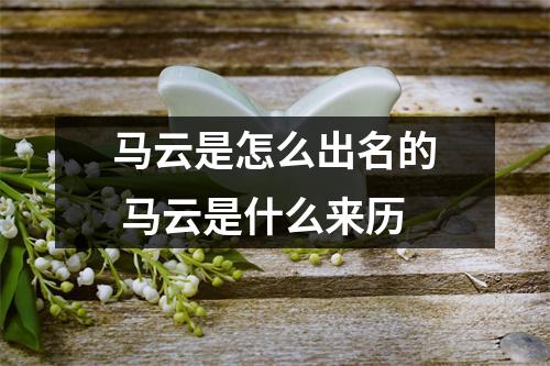 马云是怎么出名的 马云是什么来历