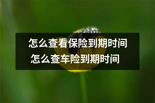 怎么查看保险到期时间 怎么查车险到期时间