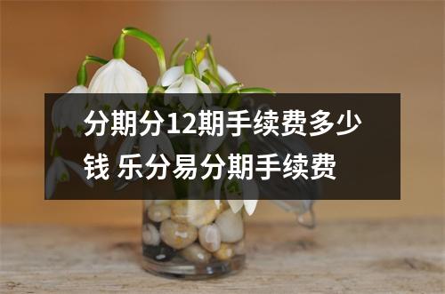 分期分12期手续费多少钱 乐分易分期手续费