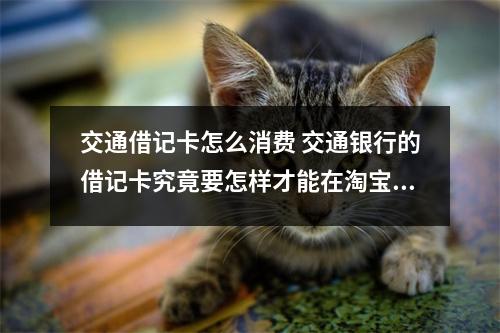 交通借记卡怎么消费 交通银行的借记卡究竟要怎样才能在淘宝网上购物啊