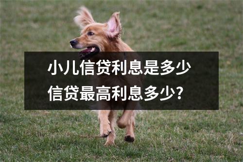 小儿信贷利息是多少 信贷最高利息多少?