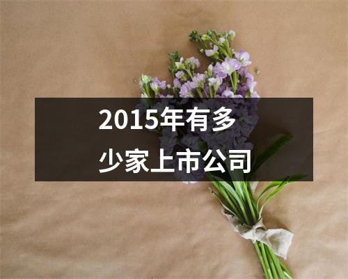 2015年有多少家上市公司