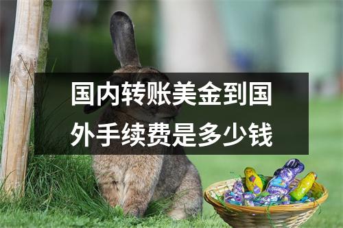 国内转账美金到国外手续费是多少钱