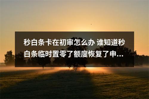 秒白条卡在初审怎么办 谁知道秒白条临时置零了额度恢复了申请初审通过一天后还是初审