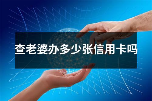 查老婆办多少张信用卡吗