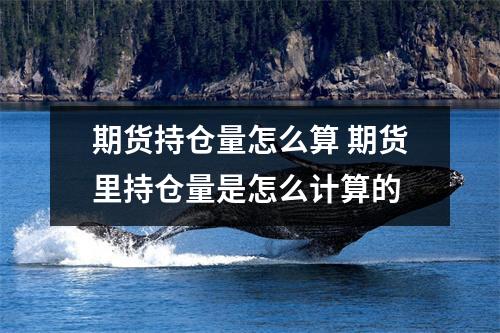 期货持仓量怎么算 期货里持仓量是怎么计算的