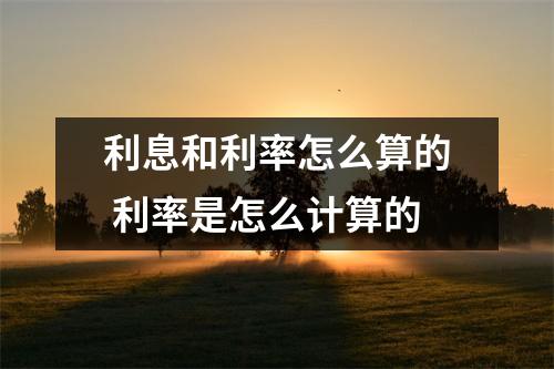 利息和利率怎么算的 利率是怎么计算的