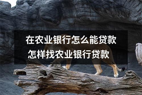 在农业银行怎么能贷款 怎样找农业银行贷款