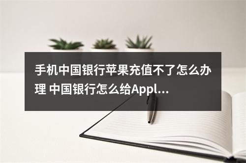 手机中国银行苹果充值不了怎么办理 中国银行怎么给Apple ID充钱