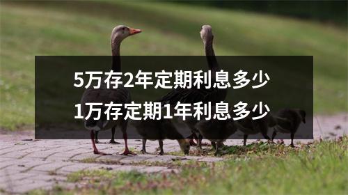 5万存2年定期利息多少 1万存定期1年利息多少