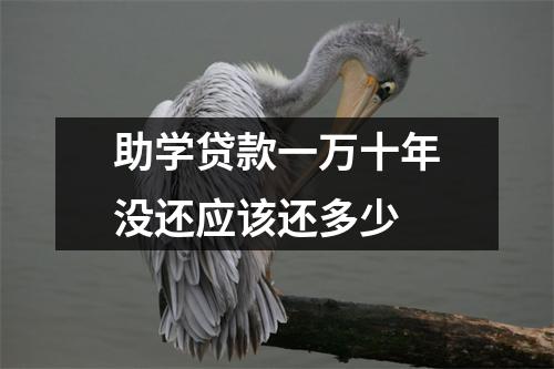 助学贷款一万十年没还应该还多少
